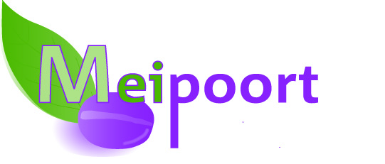 - Meipoort_Logokaal_DEF.jpg