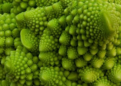- romanesco1.jpg - romanesco1.jpg