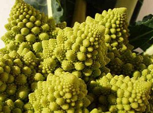 - romanesco2.jpg - romanesco2.jpg